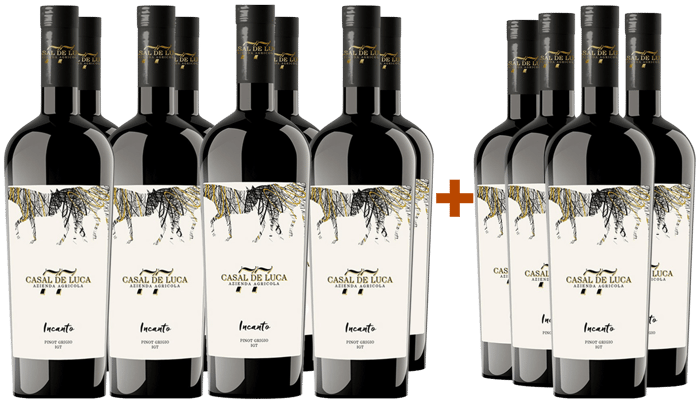 8+4 Paket Incanto Pinot Grigio Lazio IGP BIO