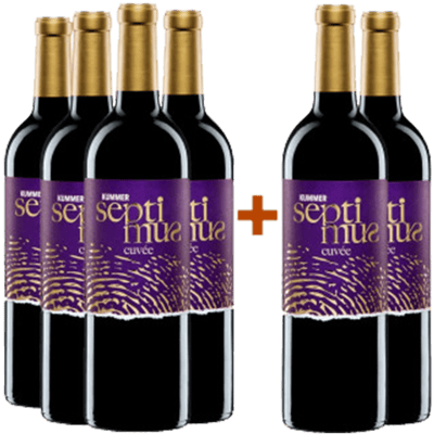 4+2 Cuvée SEPTIMUS Paket trocken