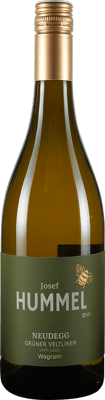 2024 Grüner Veltliner vom Löss BIO