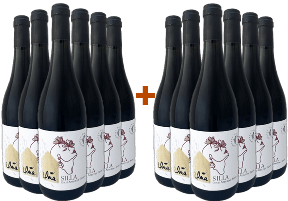 6+6 Paket Silla Colli Aprutini IGP