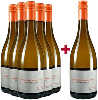 5+1 Paket "Falkensteiner Berggericht" Grüner Veltliner trocken BIO