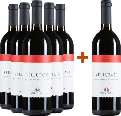 5+1 Paket Vellutato Rosso Piceno Superiore DOC 5+1 Paket Vellutato Rosso Piceno Superiore DOC