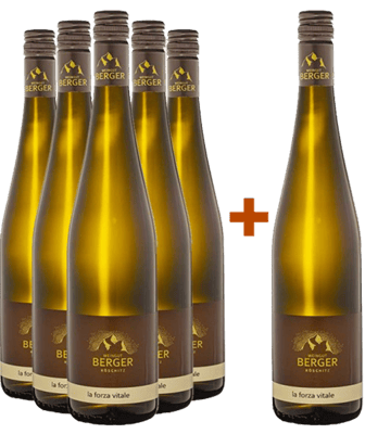 5+1 Paket La Forza Cuvée weiß 5+1 Paket La Forza Cuvée weiß