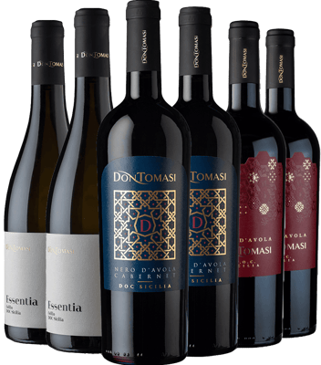  Don Tomasi Kennelern-Paket
