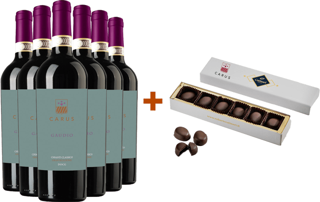 Gàudio Chianti Gran Selezione DOCG Paket + Geschenk Gàudio Chianti Gran Selezione DOCG Paket + Geschenk