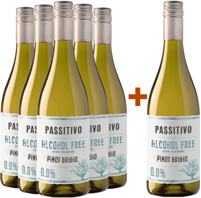 5+1 Paket Passitivo Pinot Grigio Paket