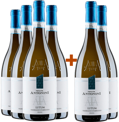 4+2 Paket Lutum Trebbiano d'Abruzzo DOC