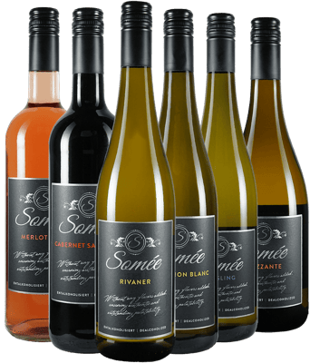  Somée Kennenlern-Paket