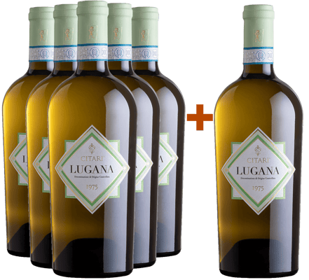 5+1 Paket 1975 Lugana DOC