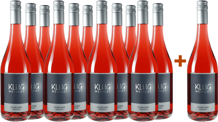 11+1 Paket Schilcher Frizzante