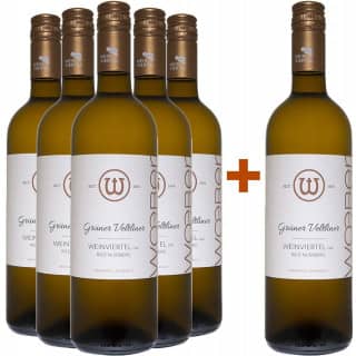 5+1 Grüner Veltliner Ried Nussberg Waitzendorf Weinviertel DAC Paket