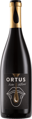 2023 "ORTUS" Roter Veltliner Ried Steinbruch
