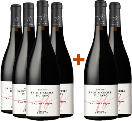 4+2 Paket Authentique