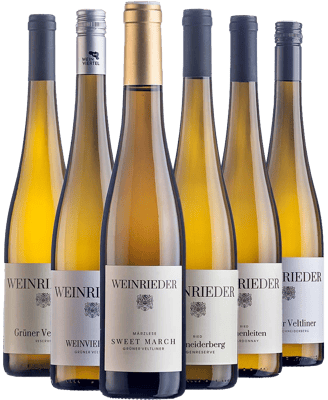 WEINRIEDER Best of Grüner Veltliner Paket WEINRIEDER Best of Grüner Veltliner Paket