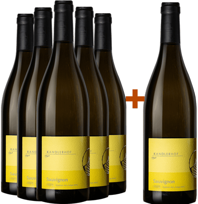 5+1 Paket Sauvignon Alto Adige DOC