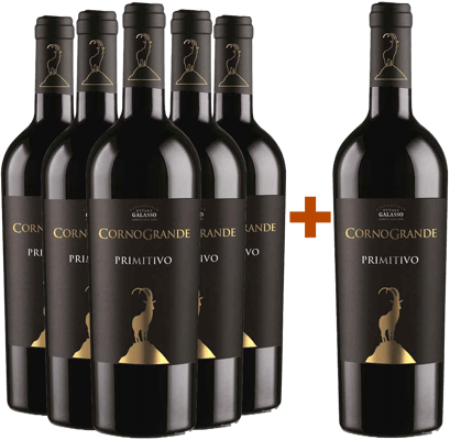 5+1 Paket Corno Grande Primitivo Colli Pescaresi IGP