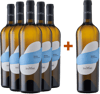 5+1 Paket Favella Irpinia Falanghina DOC