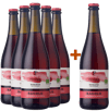 5+1 Rosato frizzante Veneto IGP col fondo BIO