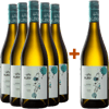 5+1 Paket Asia Blend Cuvée weiß trocken