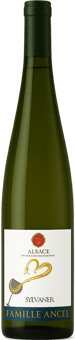 2024 Sylvaner Alsace AOP