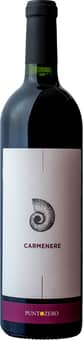 2019 Carmenere Veneto