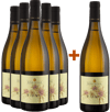 5+1 Paket Fiano Sicilia DOC BIO BIO