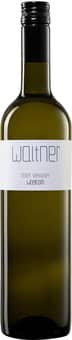 2025 Roter Veltliner