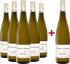 5+1 Paket Ried Sandgrube Grüner Veltliner Kremstal DAC