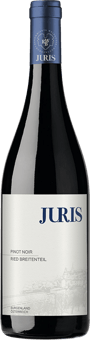2021 Pinot noir Ried Breitenteil