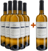 5+1 Paket Traminer Aromatico Friuli DOC