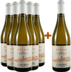 5+1 Paket Etesia Pinot Grigio Umbria IGP