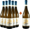 5+1 Paket Moscato SiFaSol Canelli DOCG