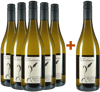 5+1 Grüner Veltliner Reserve Paket trocken