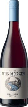 2022 Pinot Noir - Gutswein BIO