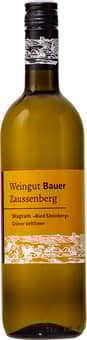 2021 Grüner Veltliner "Ried Steinberg BIO