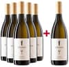 5+1 Paket "Georg" Grüner Veltliner Reserve Kremstal DAC