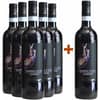 5+1 Paket Barbera d'Alba Superiore DOC