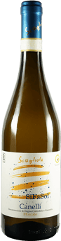 2025 Moscato SiFaSol Canelli DOCG