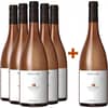 5+1 Paket Regieterre Rosato Salemi IGP