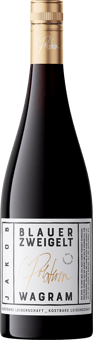 2021 Blauer Zweigelt "Jakob"