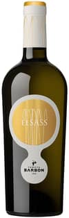 Elsass Bianco Marcia Trevigiana IGP