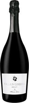 2023 Falanghina Sparkling