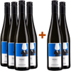 4+2 Paket Grüner Veltliner Kalkschnitt trocken BIO