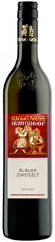 2022 Blauer Zweigelt