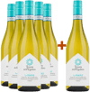5+1 Paket Le Piaole Verdicchio dei Castelli di Jesi Classico BIO
