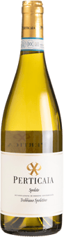 2024 Trebbiano Spoleto DOC