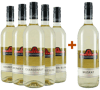 5+1 Weißwein Entdecker-Paket