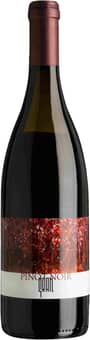 2019 Pinot Noir
