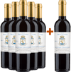 5+1 Paket Vinsanto del Chianti Rufina DOCG
