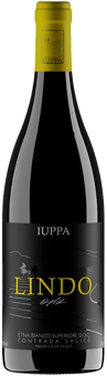 2022 Lindo Bianco Superiore Contrada Salice Etna DOC